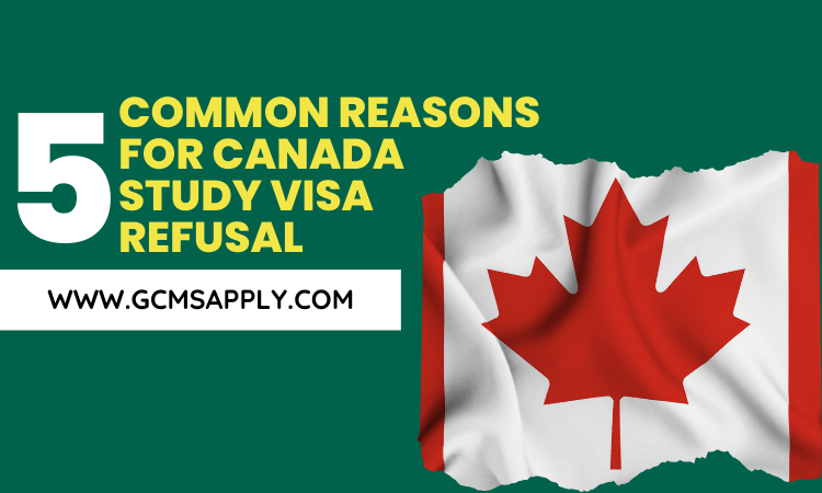 Common Reasons for Canada Study Visa Refusal.